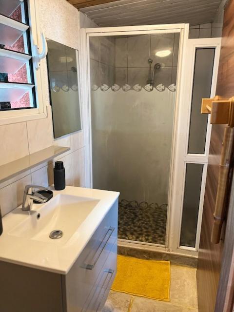 La Bananeraie Apt 35M2 Piscine Jardin Tropical Parking Prive Сен-Ле Екстер'єр фото